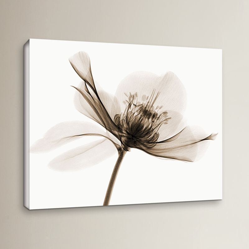 Hellebore ii, impression sur toile, H 8 po x l 10 po x P 2 po, Toile tendue
