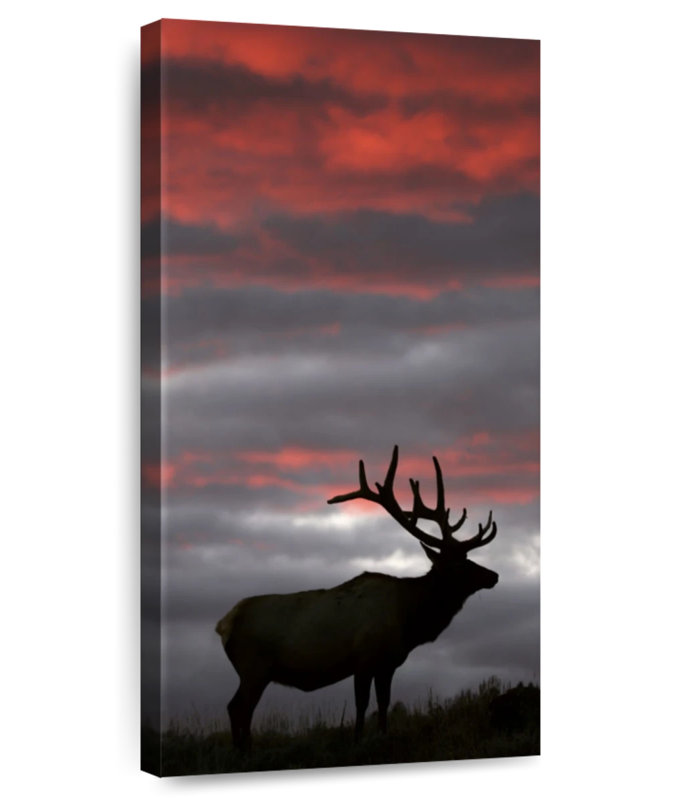 Coucher de soleil Elk Fiery, H 36 po x l 18 po