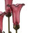 21.5"H Alianys 3 Light Lily Table Lamp-1920609416