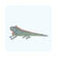 Iguana by Nic Squirrell - Wrapped Canvas Gallery-Wrapped Canvas Giclée-510384000-479119238