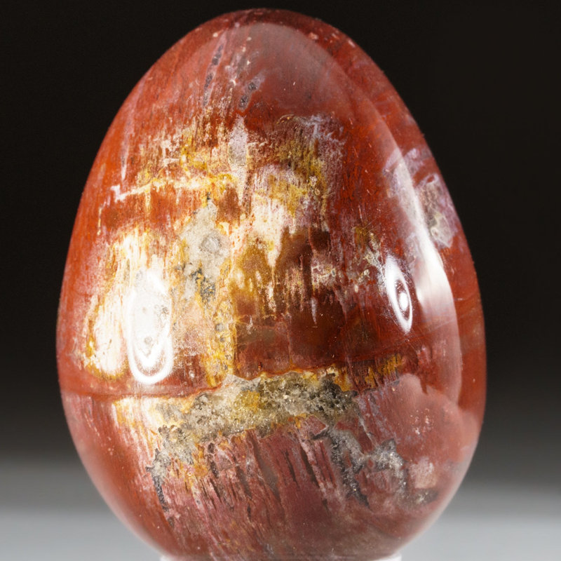Petrified Wood Egg, Orange/Yellow/Brown, 3" H x 2" W x 2" D