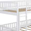 Bunk Bed With Ladder And Guardrails-117529859