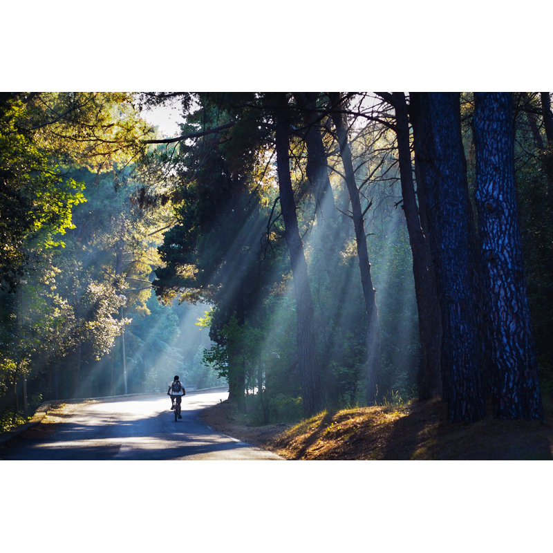 Cyclist On Country Side Road by Vm - No Frame Print on Canvas, 20cm H x 30cm W