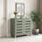 Millan 12 Pair Shoe Storage Cabinet-454832357
