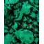 Tapis noué à la main unique en son genre Holsworth - vert