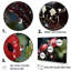 «Botanical Landybug Harmony III», reproduction sur toile-585170377-585170381