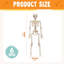 12 pièces 6 "mini figurines d'Halloween squelette