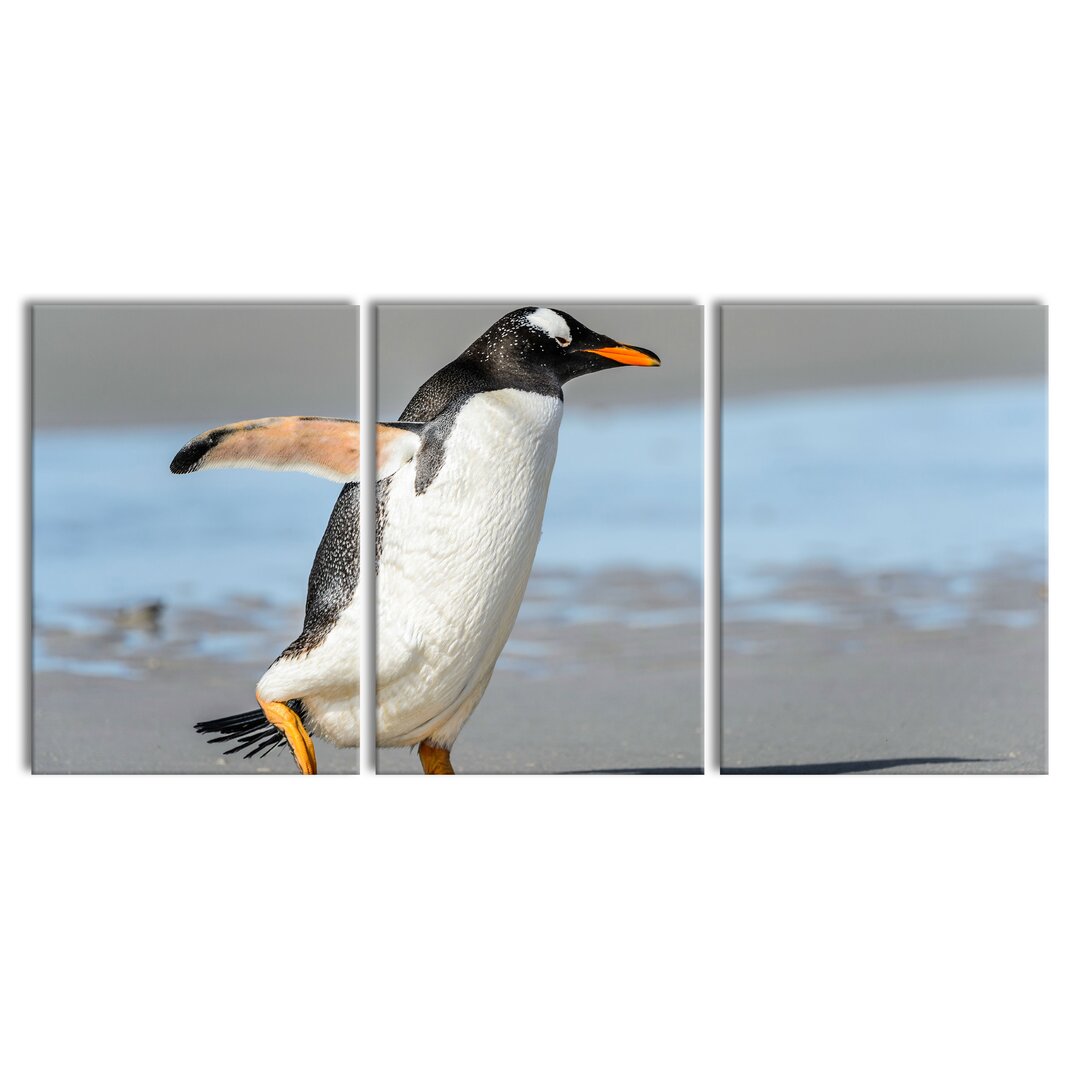 3-tlg. Leinwandbilder-Set Penguin on the Beach