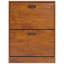 Blisswood 2 Drawer Shoe Storage Cabinet-740674143