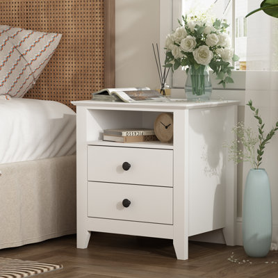 Daneisy 2 - Drawer Nightstand in White by Winston Porter