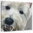 Brampt West Highland Terrier