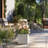 Redegonda Handmade Planter Box-1478226906-1478226885