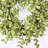 26" Faux Everyday Greenery Foliage Front Door Wreath