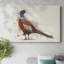 Pheasant Splash, toile tendue à 5 galeries-1530642480