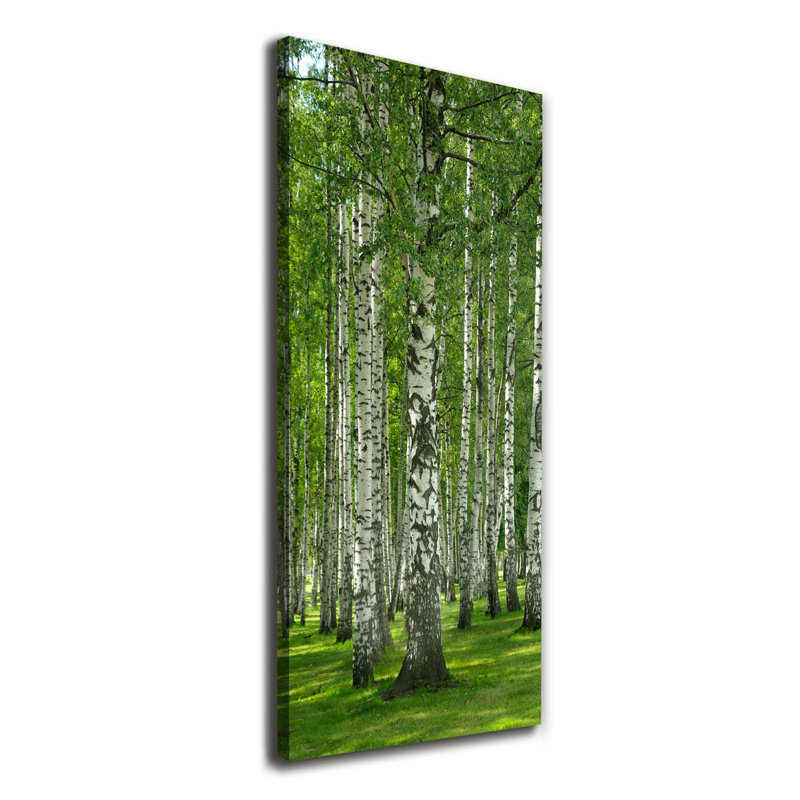 Birch Forest - Wrapped Canvas Print