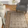 Petronella Viscose Oriental Rug in Light Blue/Ivory