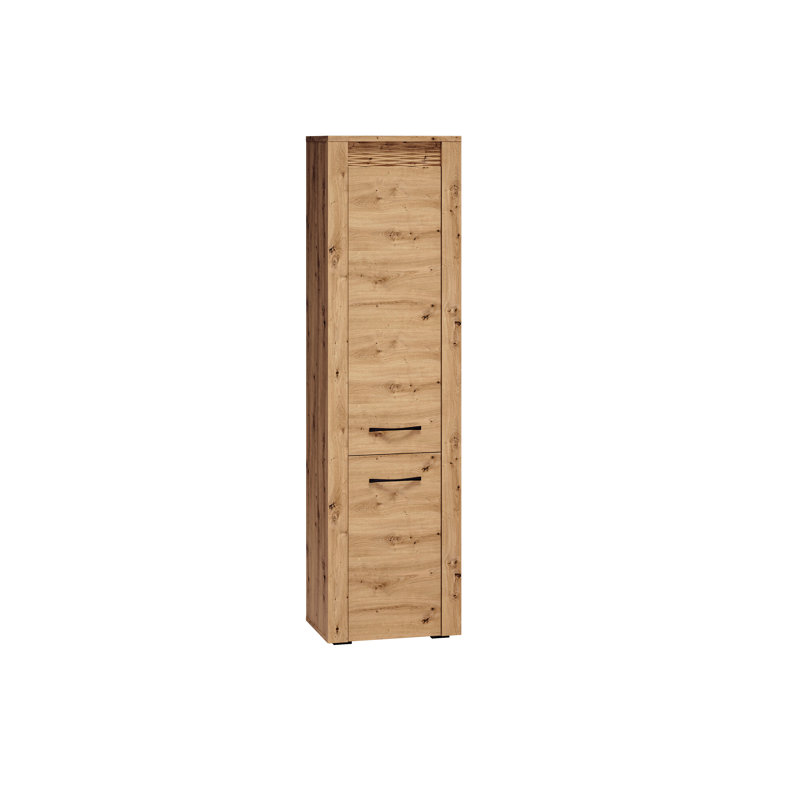 Holub 200 cm H x 55 cm W Geometric Bookcase