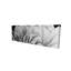 «Beautiful Black and White Flower», art mural botanique