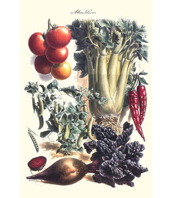 " Vegetables Beet Hot Peppers Celery Tomatoes And Peas In Pods " by Philippe-Victoire Levêque De Vilmorin
