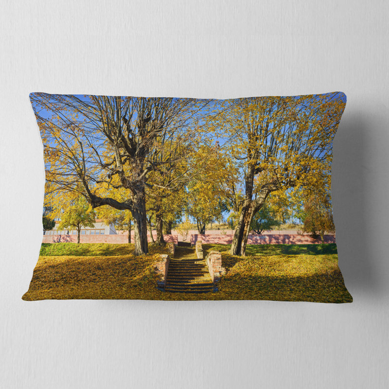 Coussin Schafer