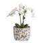 Chinoise Exotique Center Basin