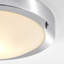 Frosted Glass Flush Mount