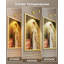 Spolight Wall Sconce