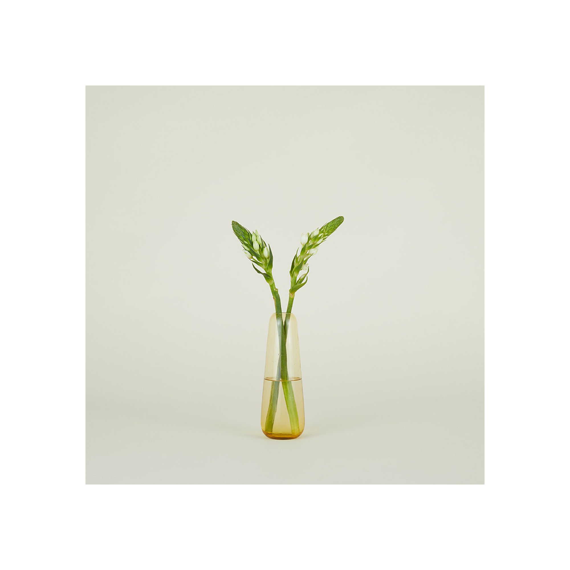 Aurora 9'' Glass Table Vase, Amber