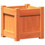 Ander Planter-1011546372-1011546377