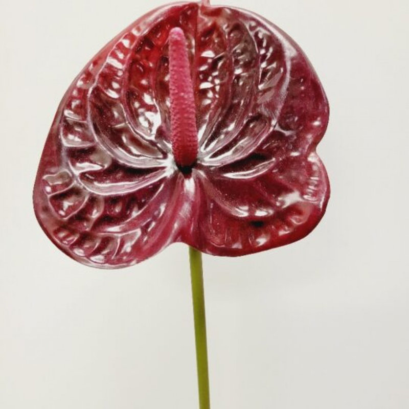 Fleur artificielle Anthurium, Bourgogne