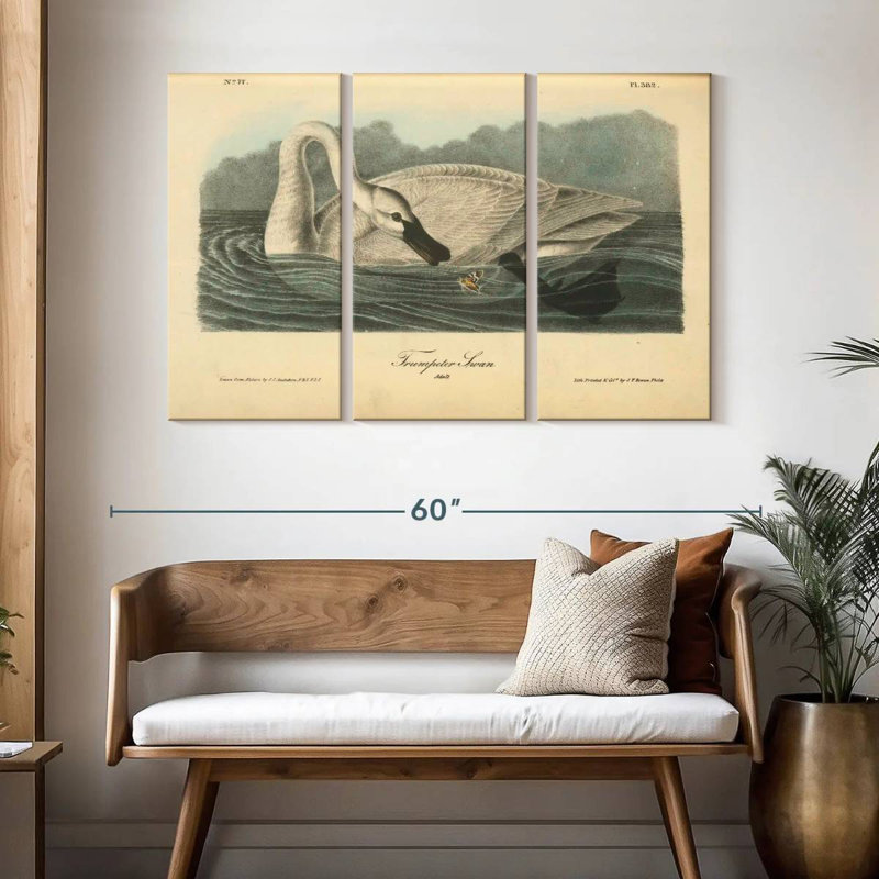 Brampt Trumpeter Swan, 32" H x 50" W