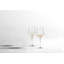 Nektar Wine Glass-1109659582