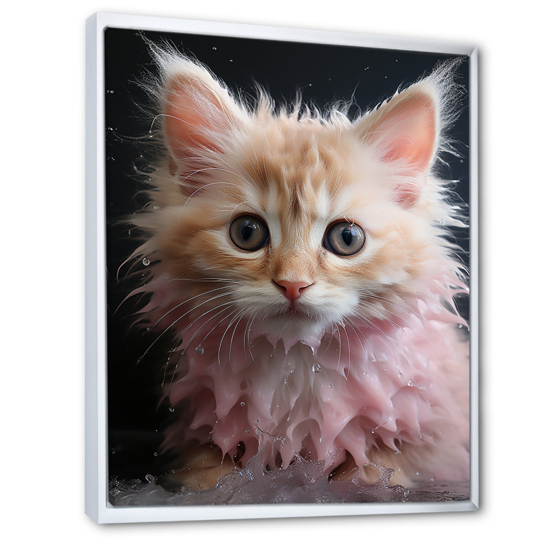 Décoration de salle de bain pour chaton câlin I - animaux_106736, H 20 po x l 12 po x P 1 po, Cadre flottant blanc