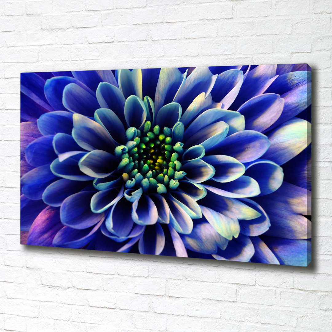 Aster - Kunstdrucke auf Leinwand - Wrapped Canvas