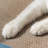 Conlun Cat Scratcher Cardboard Cat Scratch Pad With Premium Scratch Textures Design Durable Cat Scratching Pad Reversible Shark 15.7L X 9W X 2.6H