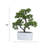 2-pack 14” Faux Bonsai Trees With Real Touch Leaves, In A Modern Geometric Ceramic Vase