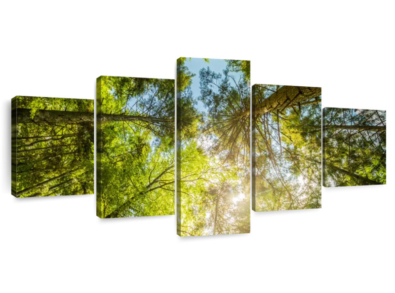 Tree Top, 19" H x 42" W