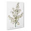 Yucca Flowers by Pierre-Joseph Redoute - Wrapped Canvas-55320124
