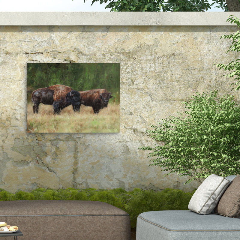 Paire de bison David, H 18 po x l 24 po