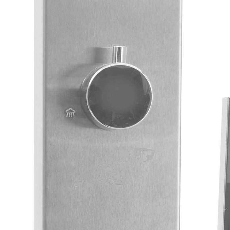 Tête de douche réglable 82,7 po Chackbay