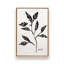 Ensemble de 4 botaniques noirs et blancs-1479030348-1479030347