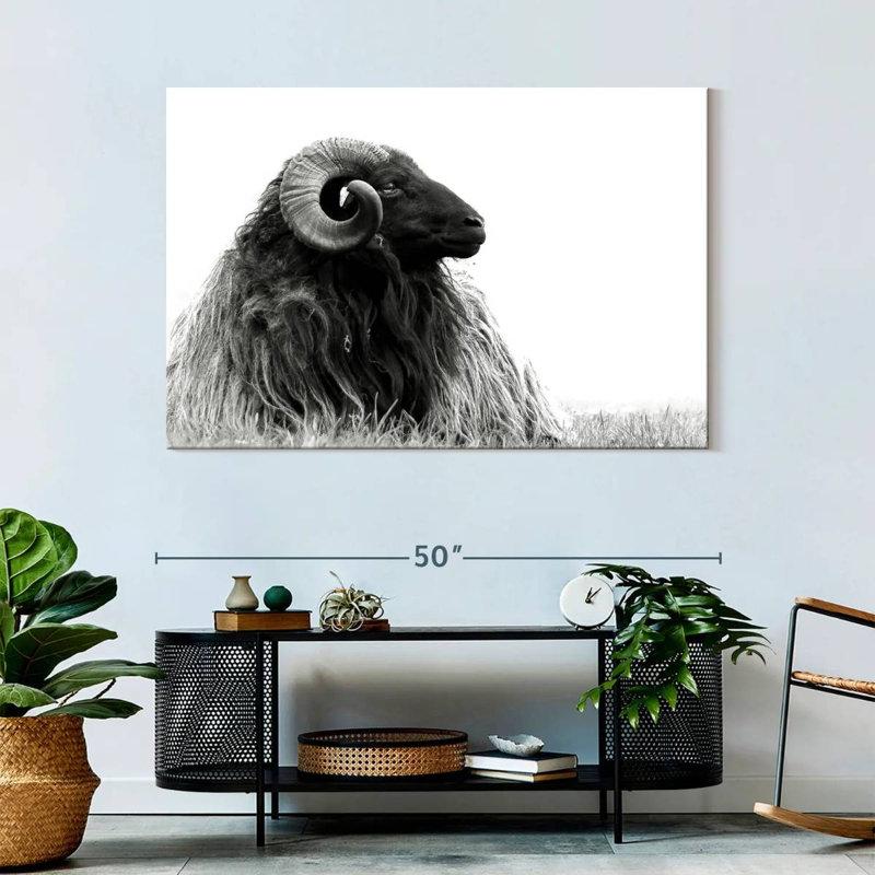 Brampt Bighorn Ram, 32" H x 48" W
