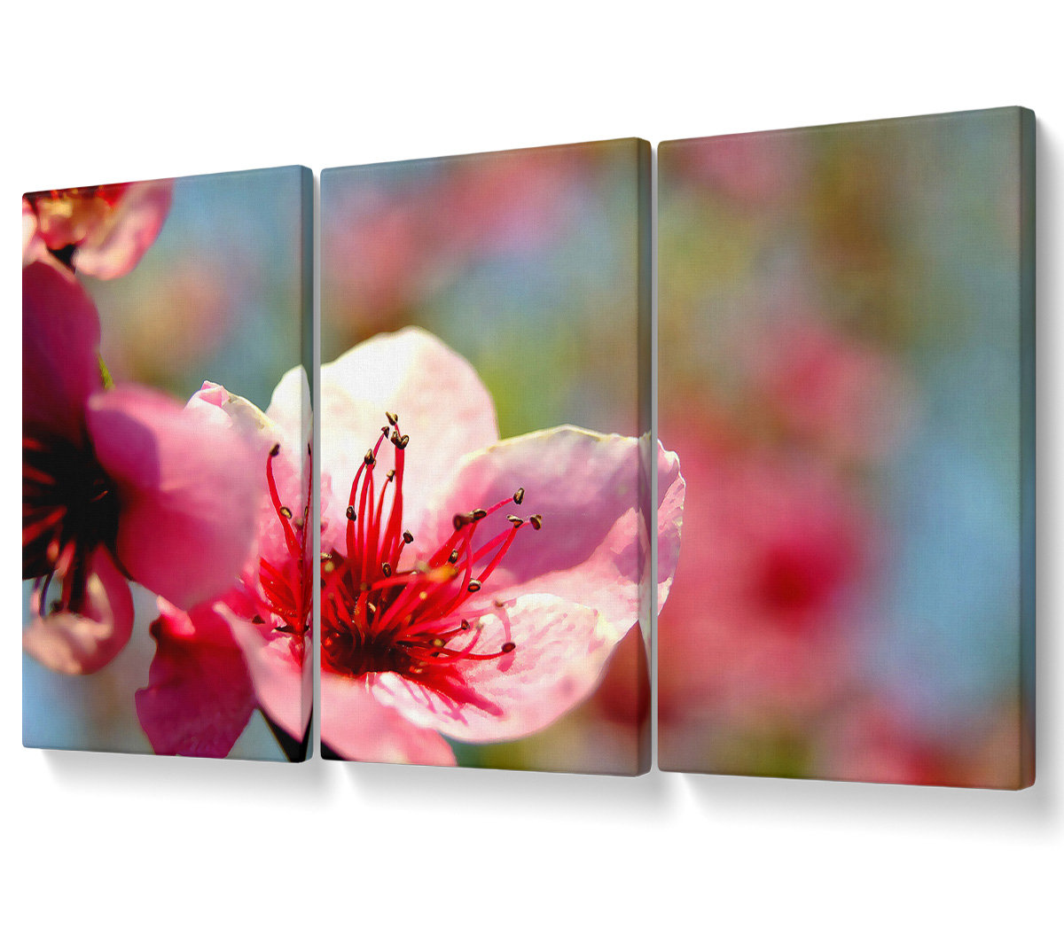 Ebern Designs Pink Flower Cherry Tree - 3 Piece Wrapped Canvas Graphic ...