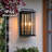 Heracles 2 - Light 15.3'' H Glass Outdoor Wall Lantern with Dusk to Dawn