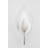 Blossom Armed Sconce