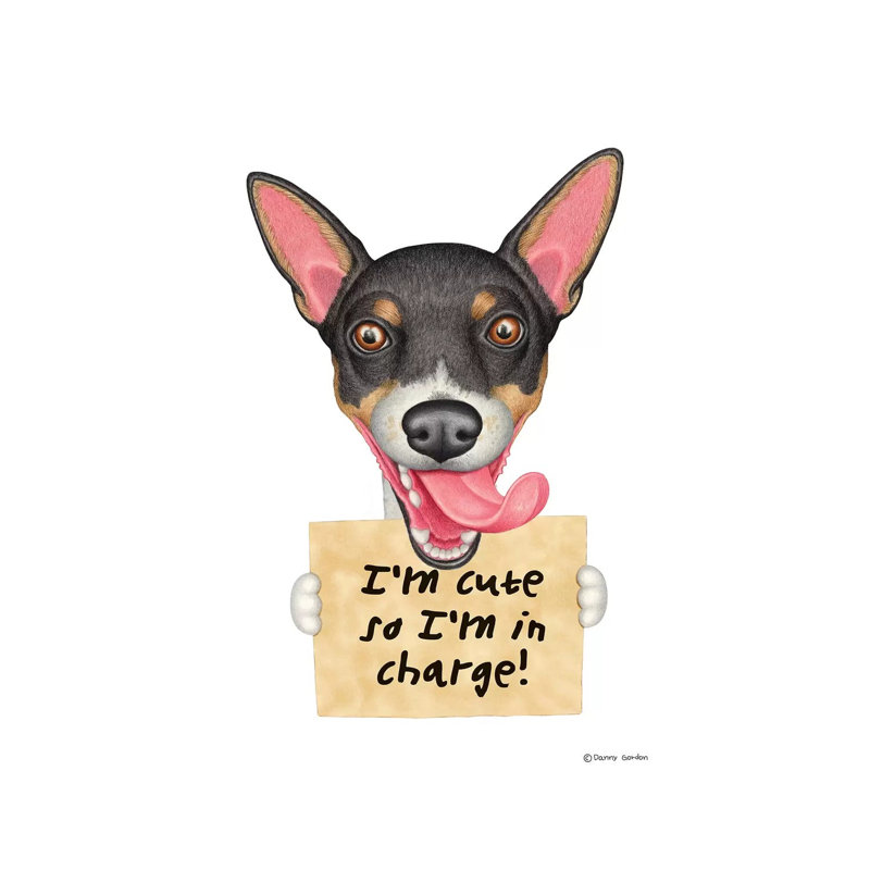 Rat terrier, H 18 po x l 12 po x 1,5 po