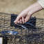 Weather Resistant Squirrel Cage