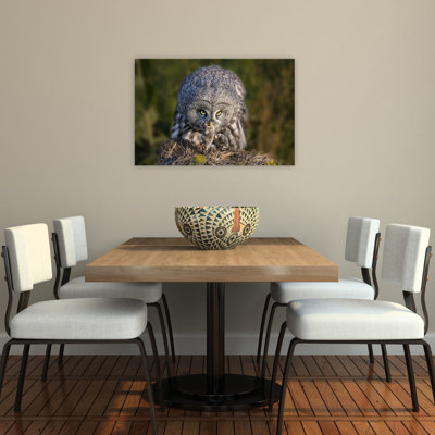 «Great Grey Hunter», reproduction d'art contemporain de paysage d'oiseau hibou contemporain