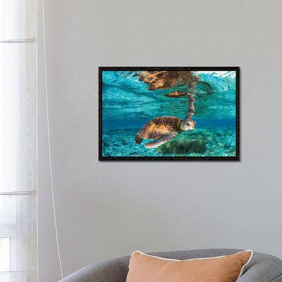 Hey You by Jordan Robins - Print on Canvas
