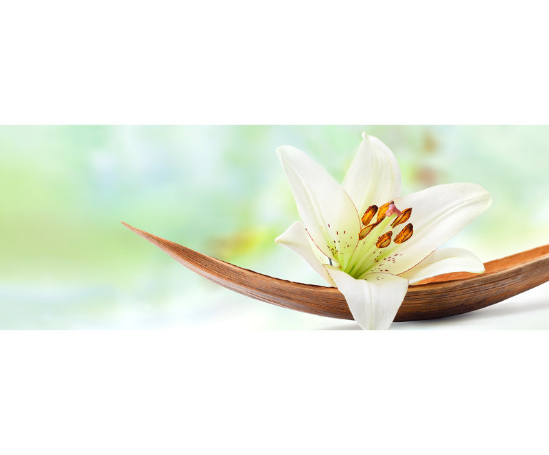 Young Living I - No Frame Print on Glass